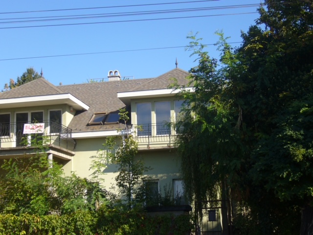 4233_liget sor valogatas 001.JPG